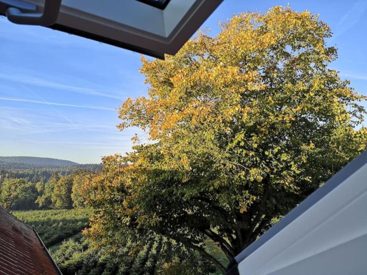 Ferienwohnung Gruene Oase Im Teutoburger Wald Georgsmarienhütte Exterior foto